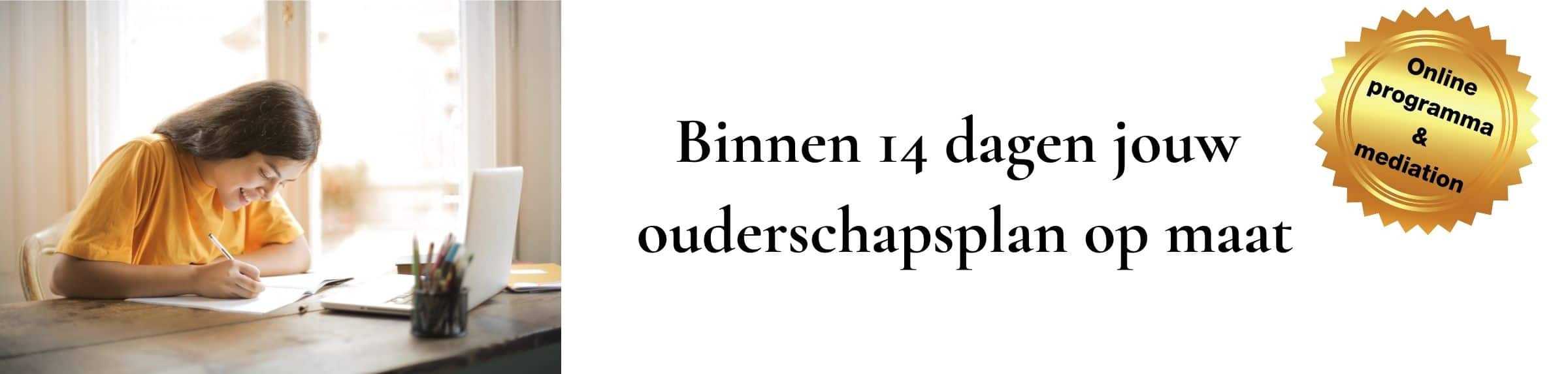 Ouderschapsplan in 14 dagen